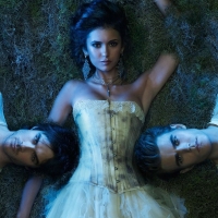 The Vampire Diaries (TV Series 2009â€“2017)