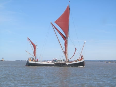 The Thistle - sealife, barges, watersports, sailing, river thames