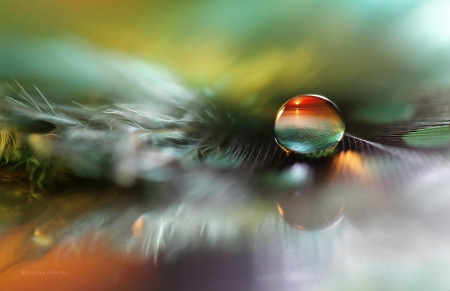 Water drop - colorful, skin, macro, water drop