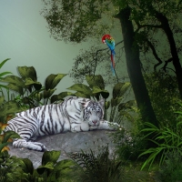 Tiger and parrot
