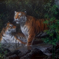 Tigers