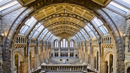 Natural History Museum, London - kensington, natural history, london, animals and natural phenomena, museum