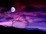 Moonlight in Purple Sky