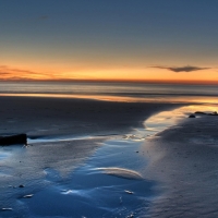 Golden Horizon at the Beach