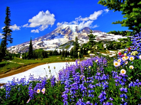 Spring Over the Mountain - nature, trees, mountain, clouds, flowers, spring