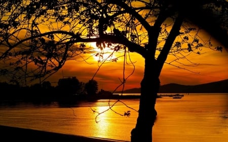 Lonely Tree Beside the Lake in Twilight - trees, sunset, nature, twilight, lake