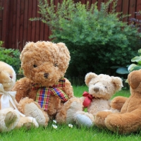 FOUR TEDDIES