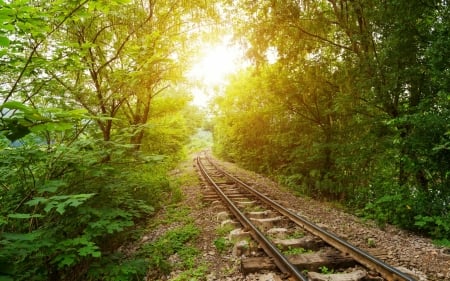 Railroad - track, susnet, nature, Railroad