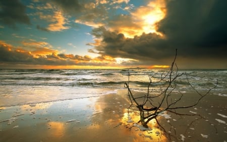 Sea Sunset - nature, sky, clouds, sunset, sea