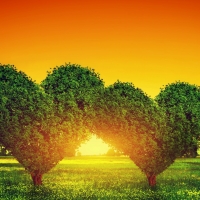 Heart trees