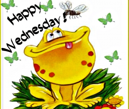 Good Morning - Cartoons, Frogs, Butterflies, Abstract