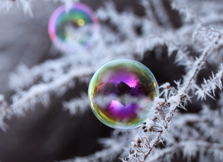 Happy Winter Season! - bubble, christmas, ice, winter, craciun, snow, pink