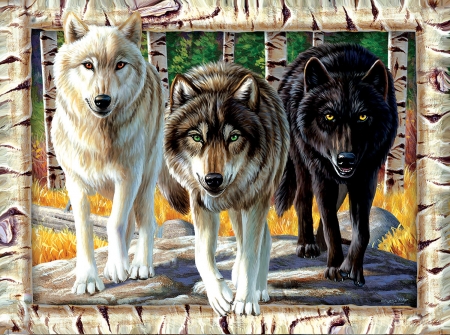 Wolves pack - wolf, dog, pack, pictura, animal, painting, caine, trio, luminos