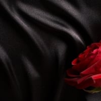 rose on black satin