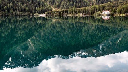 Lake Reflection - lake, tree, nature, reflection