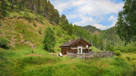 Cabin in the woods - tree, nature, cabin, grass