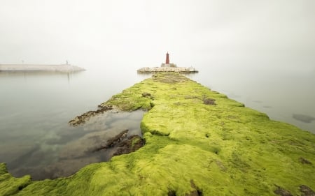 LightHouse - nature, house, grass, light