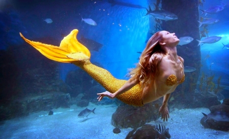 Beautiful Siren - pretty, female, beautiful, photography, girl, lovely, fantasy, siren, mermaid, yellow tail, digital, woman, nice, art