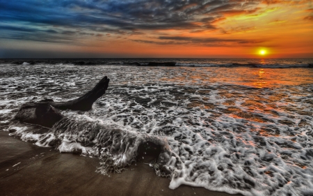 Beautiful sunset in the beach - nice, horizon, sky, sunshine, beach, photography, sun, sunbeam, water, image, trunk, sunset, sun rays, amazing, view, cool, clouds, sand, landscape, seascape, wave, foam, picture, beautiful, splendor, awesome, photo, sunrise