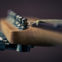 Macro Guitar