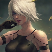 Nier Automata