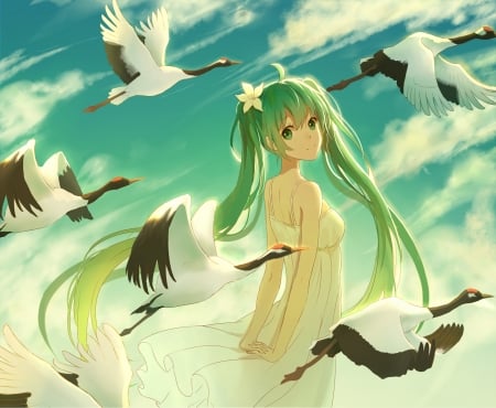 Hatsune Miku - bird, anime, summer, blue, girl, lan jue, hatsune miku, manga, white, green, wings, pasare, crane