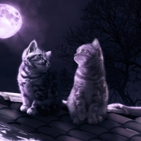 Moonlight