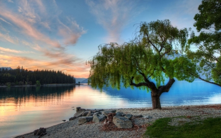 Panorama View - nature, sky, lake, trees, forest, mountains