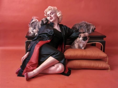 Marilyn Monroe - marilyn, actress, monroe, women