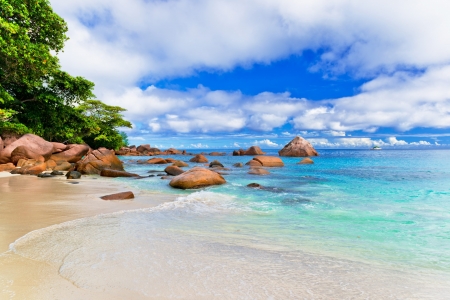 Tropical island - Shore, Summer, Palm trees, Beach