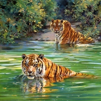 Tigers