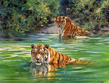 Tigers - couple, water, summer, painting, art, luminos, pictura, tiger, donald grant