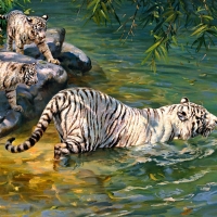 White tigers