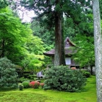 Park in Kyoto, Japan