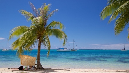 Society Islands Beach - sky, french polynesia, palms, tropical, sea