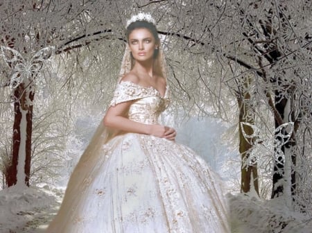 Fairy Tale Wedding - pretty, artistic, winter butterflies, female, butterflies, snow, creative, stunning, gorgeous, fairy tale, women, bride, winter, beautiful, girl, lovely, feminine, season, woman, breathtaking, model, fairy tale wedding