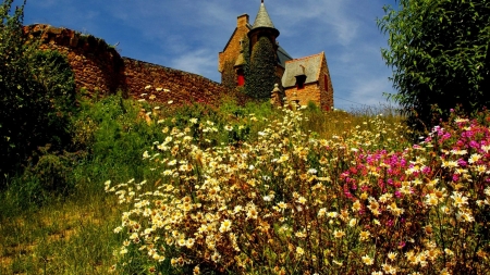 Cottage on the Mountain - flowers, nature, summer, slope, mountain, sky