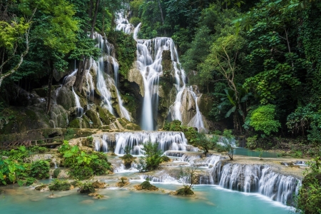 Waterfall - forest, nature, tree, Waterfall