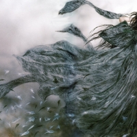 Windy