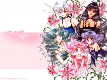 Sailor Chibi Moon - anime, moon, sailor, chibi