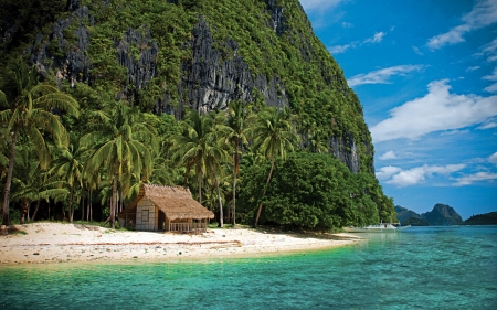 Hut on Tropical Island - tropics, palms, beach, rock, island, hut