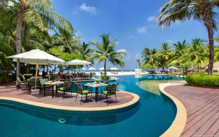 Resort's Terrace - palms, pool, terrace, furniture, resort, umbrellas