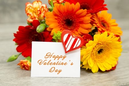 Happy valentine's Day - love, gerbera, romantic, heart