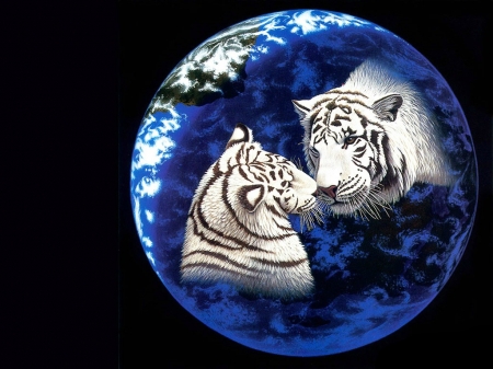 Tigers - blue, william schimmel, tiger, black, pictura, fantasy, white, animal, painting, couple, art, luminos