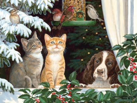 Christmas songs - bird, winter, persis clayton weirs, window, dog, cat, irs, christmas, pet, pisica, animal, craciun, kitten, pasare, caine