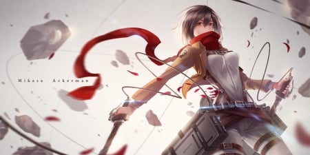 Mikasa - on, Attack, Anime, Titan