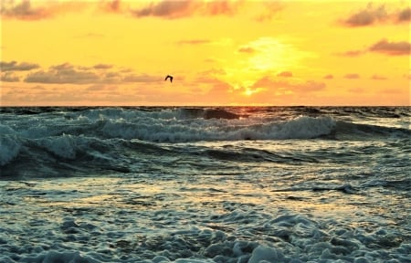 Cape Hatteras,NC - Cape Hatteras, OBX, NC, Beach