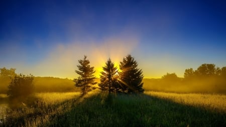 Sunset in Forest - nature, sky, sunset, forest