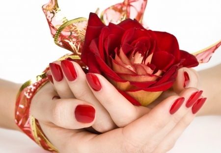 A rose - hands, feminine, pretty, people, red, wallpaper, nails, rose