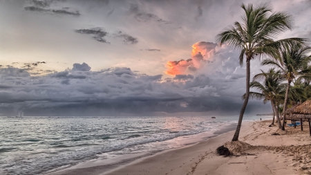 Passing storm - stormy, beach, palms, sand, sky, clouds, dramatic, weather, nature, waves